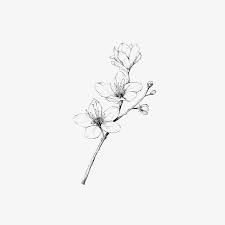 Inkylines Illustrations Jasmine Flower Tattoos Jasmine Tattoo Flower Tattoos