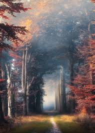 Morning Light By Rathol67 On 500px Fantasy Landscape Nature Photography Nature Pictures