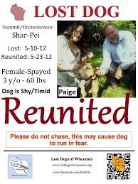 Our task is to collect the maximum amount of useful information in one application. Flyers Lost Dogs Of Wisconsin
