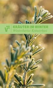 Die Top 8 Der Winterharten Gartenkrauter Findest Du Jetzt Auf Unserem Blog Inklusive Tipps Zur Pflege Krauter G Winterhart Winterharte Krauter Krauterbeet