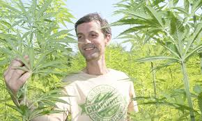 La légalisation du cbd en france est compliquée. La Provence Vaucluse Le Chanvre La Plante Qui Sait Tout Faire Canebounes Fr