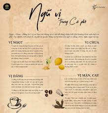 Www Cafe Net Vn Coffee Hypermarket La Sieu Thị Ca Phe Trực Tuyến đầu Tien Tại Việt Nam Chuyen Về Ca Phe Va Cac Sản Ca Phe Nghệ Thuật Ca Phe Cong Thức