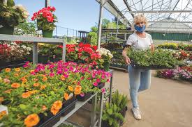 See inspiration for the types of flowers like i mentioned above, at first they're going to look a bit wimpy, but you definitely want to leave room for them to grow! Sumter Garden Centers See More First Time Gardeners Seeking Cheer During Stressful Time The Sumter Item