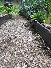 If it's just wood, however, there is a possibility that it is too carbon rich, which will pull. Using Wood Chip Mulch In A Vegetable Garden