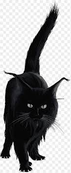 Bombay Cat Black Cat Norwegian Forest Cat Kitten Kitten Mammal Cat Like Mammal Png Pngegg