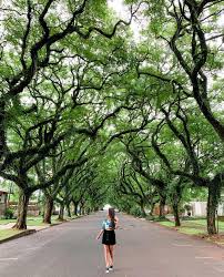 Foz do Iguaçu Destino do Mundo - Uma das ruas mais bonitas do Brasil fica  em Foz do Iguaçu. A rua Pedro Basso é um dos locais que a Bia e o
