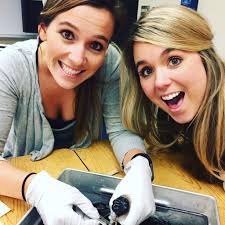 Brooke Ashlee (@brookemenning)