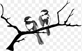 Sketsa motif batik flora dan fauna batik lengkap kita. Beak Bird Of Prey Flora Fauna Bird White Animals Png Pngegg