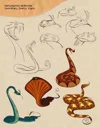 Izzy Abreu The Reptile Room Creature Design Illustration Design Cartoon Character Design