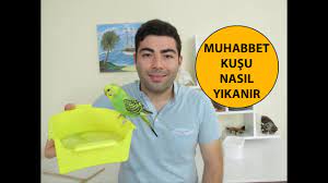 Yikanmayan Muhabbet Kusu Nasil Yikanir Youtube