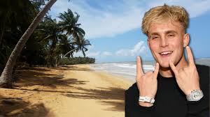 Paul is known for playing the retarded role of dirk on the disney channel series bizaardvark. Jake Paul Investigated Over Suspected Driving On Protected Turtle Beach Bbc News