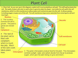 Maybe you would like to learn more about one of these? Cells And Microorganisms Ppt Video Online Download