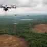 DJ Alok's Drones Revolutionize Reforestation in Brazil's Mata Atlântica