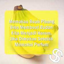 'hidupmu itu seperti pohon pisang, punya jantung tapi tidak punya hati.'. Makan Pisang Sambil Parfuman Makanan Pisang Parfum