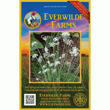 Garlic is one of the easiest plants to grow. Garlic Chives Seeds Allium Tuberosum Seeds Everwilde Farms