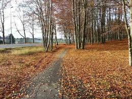 Aas Norway Norway Scandinavia Country Roads