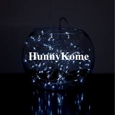 Amazon Com Hunnykome Solar Lighting Decorative Solar String Lights