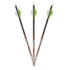 Carbon Express Arrows Maxima Hunter 12 Pack Bare Shafts 250