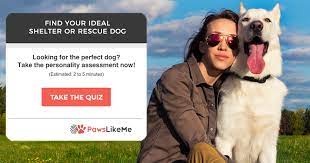 Check spelling or type a new query. Find Your Ideal Pet Match Adopt The Right Dog Or Cat Today On Pawslikeme
