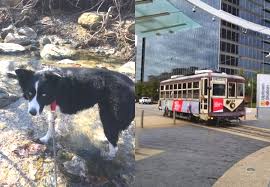 Maybe you would like to learn more about one of these? 20 Free Things To Do In Dallas Fort Worth This Year Metroplex Social