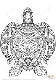 Aug 01, 2013 · the turtle coloring pages are thus extremely popular among young children as this provides them with ample opportunities for exploring their creativity. Pin On Adult Coloring Pages