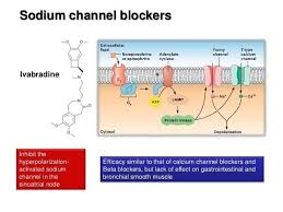 Image result for Sodium Channel Blocker