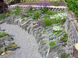 Greetings From Newfoundland Forum Topic North American Rock Garden Society Rock Garden Design Rock Garden Rock Garden Landscaping
