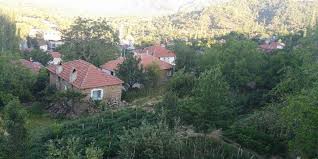 Aydın bozdoğan arası kaç km. Bozdogan Altintas Koyu