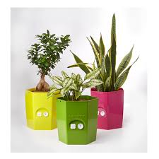Find exclusive plant pots and planters with drainage. Hot Sale Indoor Small Self Watering Decorative Plant Pots Buy Self Watering Pot Small Decorative Plant Pots Hot Sale Indoor Small Self Watering Decorative Plant Pots Product On Alibaba Com