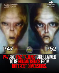 🛸 The P47 and P52 Alien Theory Across forums and viral posts, two names  keep coming up, P47 and P52. According to the theory, these aren't just  random labels, they're supposed classifications