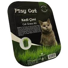 Pisy Cat Dogal Kedi Cimi