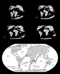 Image result for Odontosoria africana