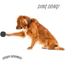 Wireless Doorbell For Dog Potty Training Door Bell Wireless Doggie Doorbell In 2020 Dog Potty Training Dog Door Bell Dog Door