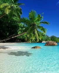 Beach At Praslin Island Seychelles Beautiful Places To Travel Beautiful Landscapes Dream Vacations