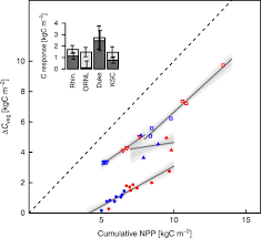 Decadal Biomass Increment In Early Secondary Succession Woody Ecosystems Is Increased By Co 2 Enrichment Nature Communications
