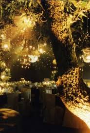 Inspire Bohemia Outdoor Dining Parties Part I Outdoor Fairy Lights Outdoor Party Lighting Summer Outdoor Party