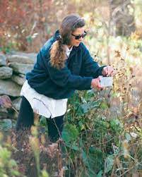 Perk up your porch or entryway with effortless autumn. Collecting And Storing Seeds Finegardening