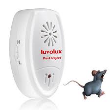 You can kill or expel them with the use of chemical pest control. Pin On Diy Gadgets Kits