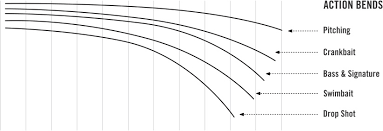 Quick Guide To Rod Actions Rod Powers Temple Fork Outfitters