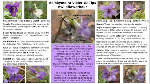 Click on text in red to get more information. Plant Id Getting Started Botanical Society Of Britain Ireland