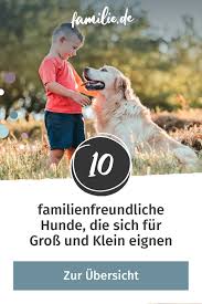 10 familienfreundliche hunde diese hunde eignen sich fur gross und klein familienfreundliche hunde hunde haustier adoption