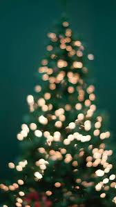 Download christmas tree stock photos. Boke Photography Of Christmas Tree And String Ligh Iphone 8 Wallpapers Free Download