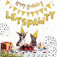 Check spelling or type a new query. Cat Birthday Party Supplies Dog Birthday Balloons Decorations Party Decorations Dog Cat Birthday Hat Happy Pet Birthday Party Kit Walmart Canada