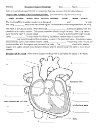 Anatomy And Physiology Coloring Workbook Answer Key Inspirational Inspirational Heart Anato Circulatory System Activities Circulatory System Science Worksheets