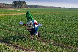 vidalia onion festival vidalia georgia