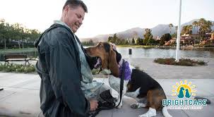 Rancho regional veterinary hospital is a modern full service three doctor practice with cutting edge care for your beloved furry family members. Things To Do With Your Dog In Rancho Santa Margarita Animal Er