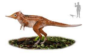 File:Leptictidium Artist's Impression.png - Wikipedia