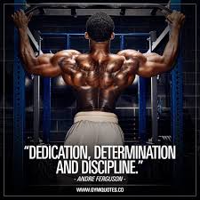 André stern zitat / andré stern est né à paris en 1971.andré stern est l'incarnation d'un apprentissage et d'un développement naturels. Workout Discipline Quotes Gym Quotes Dogtrainingobedienceschool Com