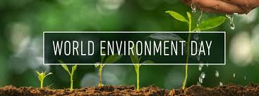 It is popularly being called people's day to show their care and support for the earth and their environment. The Green Belt Movement The Theme For World Environment Day 2020 Is Time For Nature With A Focus On Its Role In Providing The Essential Infrastructure That Supports Life On Earth