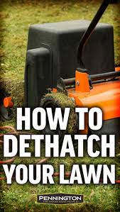 Get a healthy lawn, guaranteed with 50% off your first service. Why When And How To Dethatch Your Lawn Dethatching Dethatching Lawn Diy Lawn